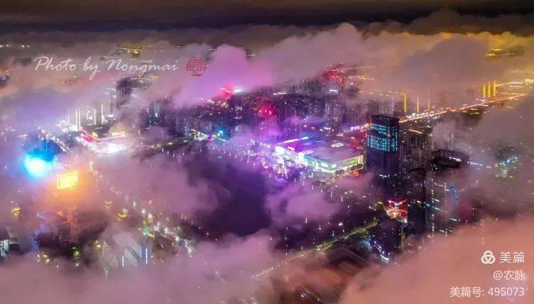 春雨直播app